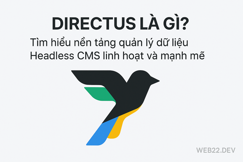 Directus là gì? Tìm hiểu nền tảng quản lý dữ liệu Headless CMS linh hoạt và mạnh mẽ