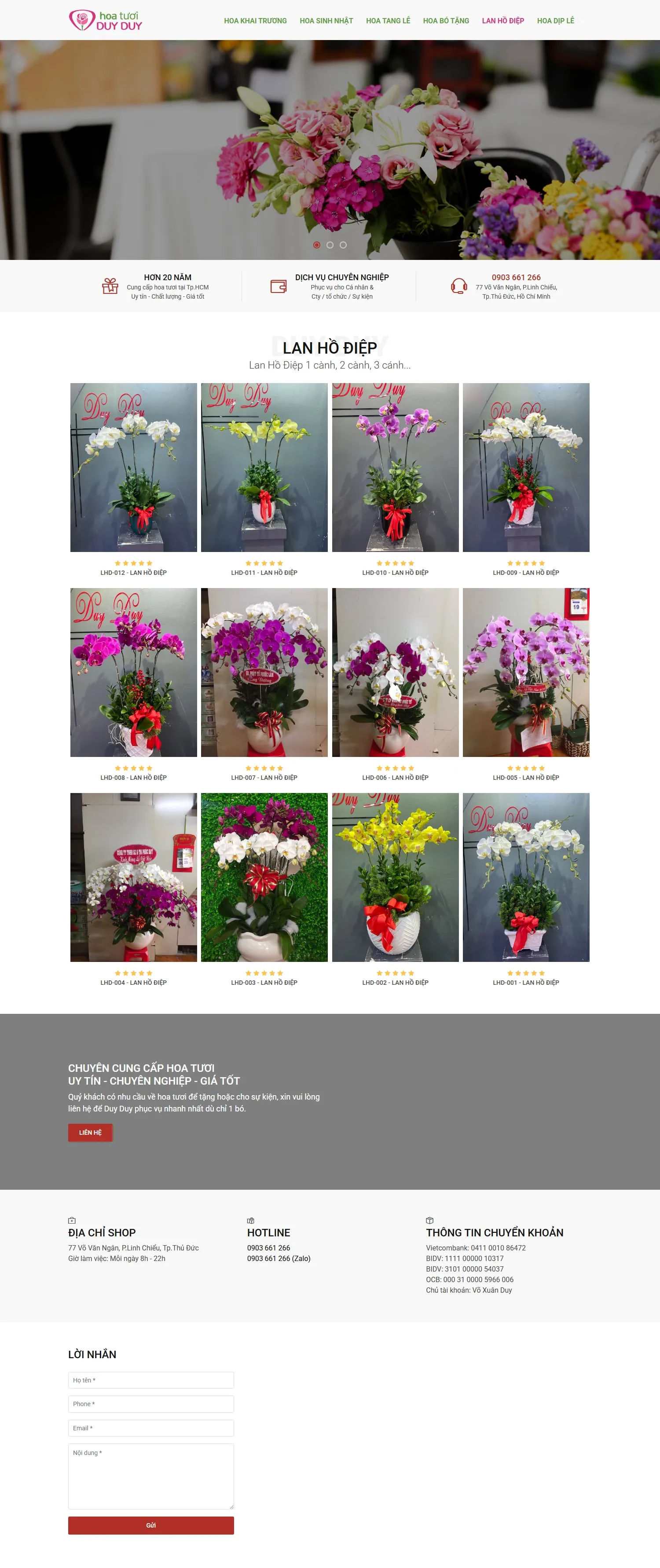 Trang lan hồ điệp cao cấp