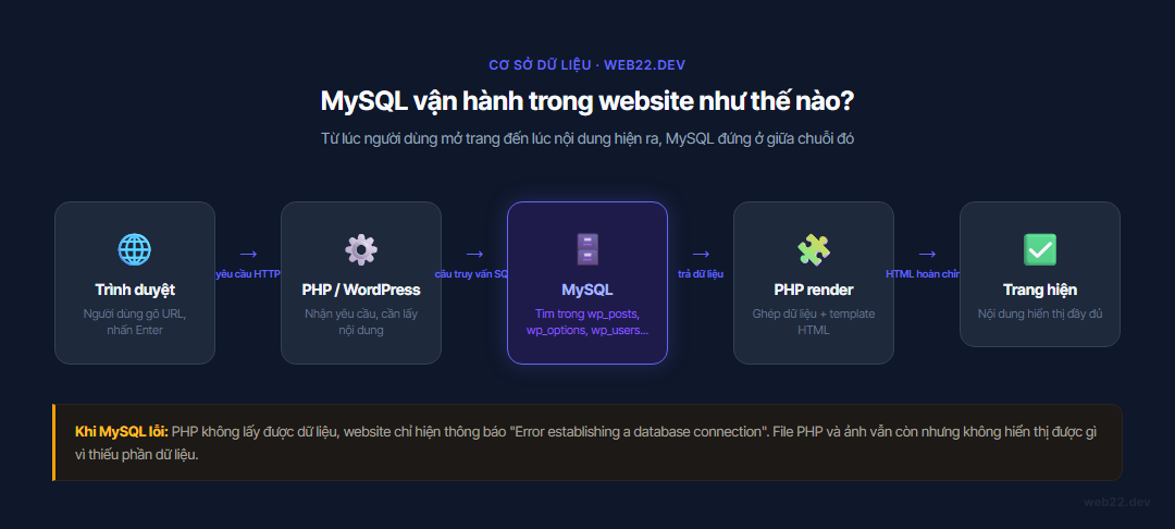 Sơ đồ luồng kết nối MySQL trong website: trình duyệt gửi yêu cầu, PHP truy vấn MySQL, trả về dữ liệu để render trang
